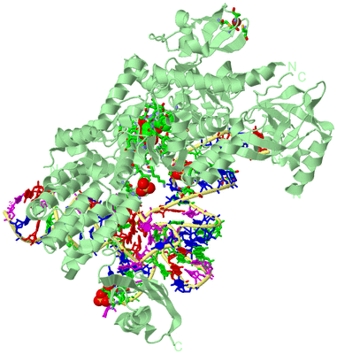 Image Biol. Unit 1 - sites