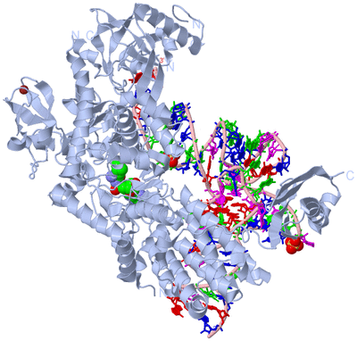 Image Biological Unit 2