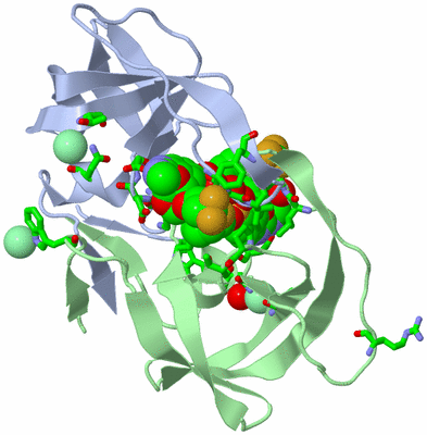 Image Asym./Biol. Unit - sites