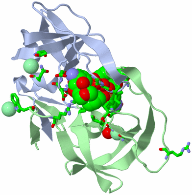 Image Asym./Biol. Unit - sites