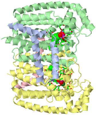 Image Asym./Biol. Unit - sites