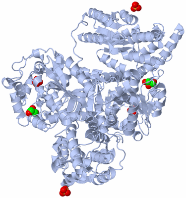 Image Biological Unit 1