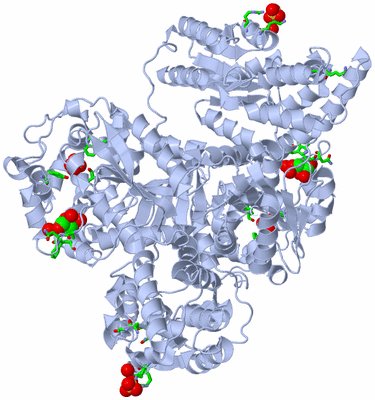 Image Biol. Unit 1 - sites