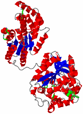 Image Asym. Unit - sites