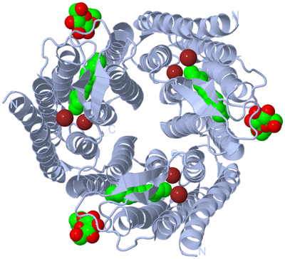 Image Biological Unit 1