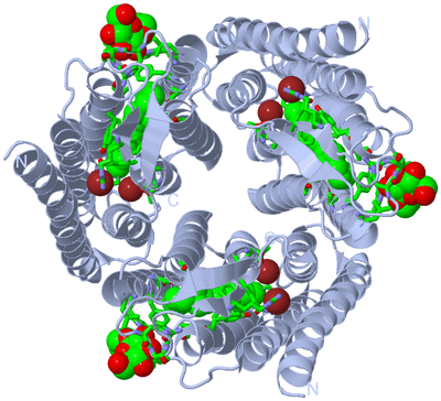 Image Biol. Unit 1 - sites