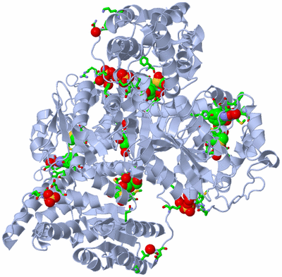 Image Biol. Unit 1 - sites