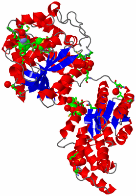 Image Asym. Unit - sites