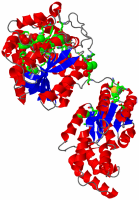 Image Asym./Biol. Unit - sites