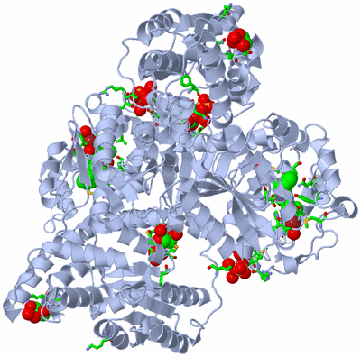 Image Biol. Unit 1 - sites