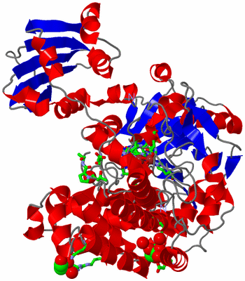 Image Asym. Unit - sites