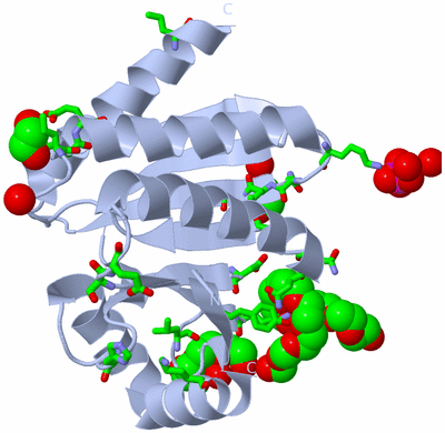 Image Biol. Unit 1 - sites