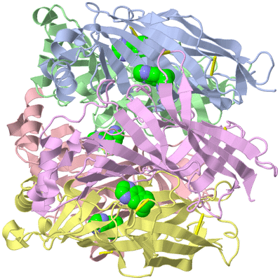 Image Asym./Biol. Unit