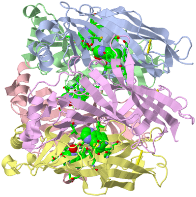 Image Asym./Biol. Unit - sites