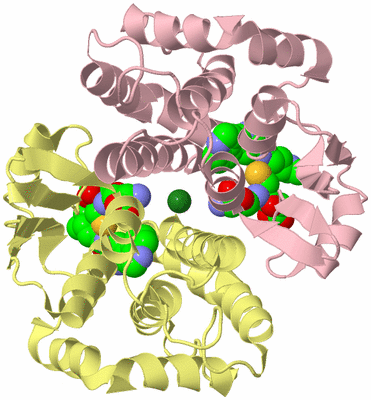 Image Biological Unit 2