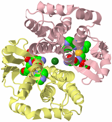 Image Biological Unit 2