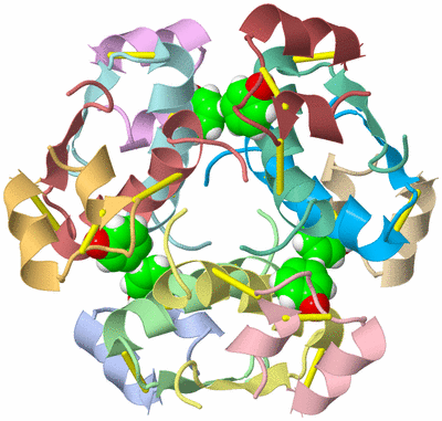 Image NMR Structure - model 1