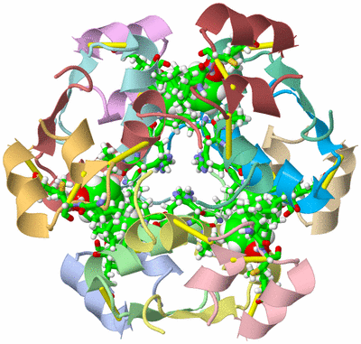 Image NMR Structure - model 1, sites