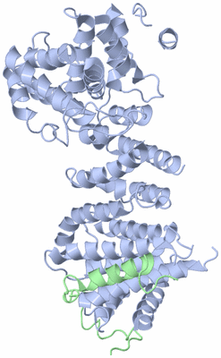 Image Biological Unit 1