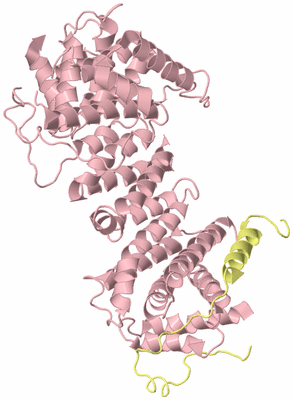 Image Biological Unit 2