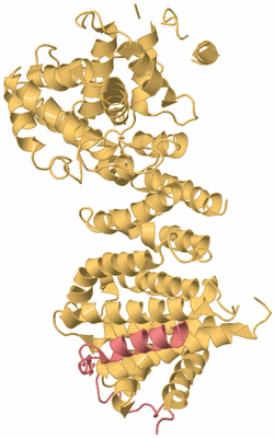 Image Biological Unit 3