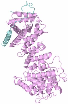 Image Biological Unit 4