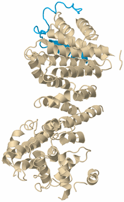 Image Biological Unit 5