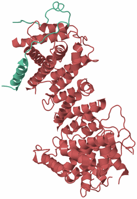 Image Biological Unit 6