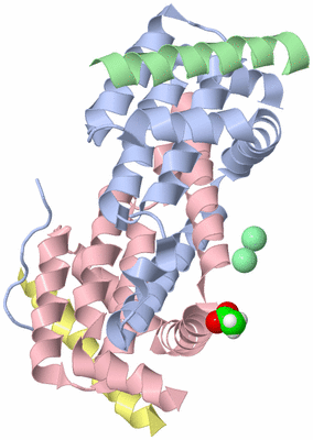 Image Biological Unit 1