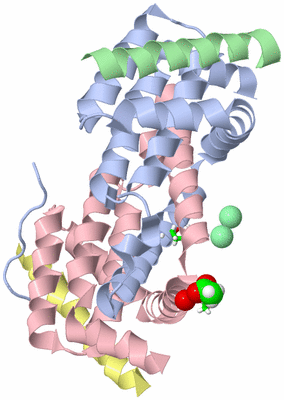 Image Biol. Unit 1 - sites