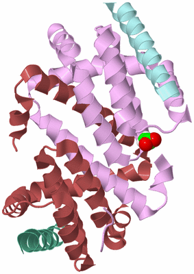 Image Biological Unit 2