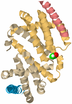 Image Biological Unit 3