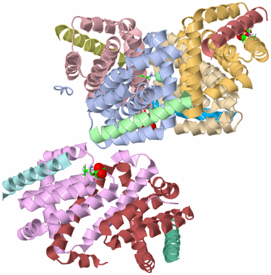 Image Asym. Unit - sites