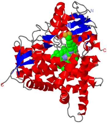 Image Asym./Biol. Unit