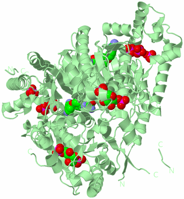 Image Biological Unit 1