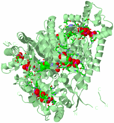 Image Biol. Unit 1 - sites