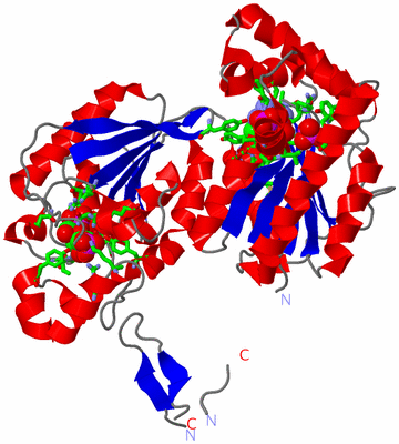 Image Asym. Unit - sites