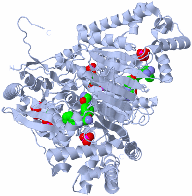 Image Biological Unit 1