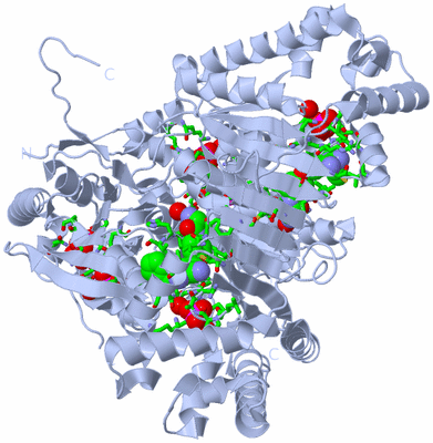 Image Biol. Unit 1 - sites