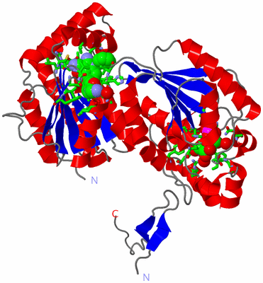 Image Asym. Unit - sites