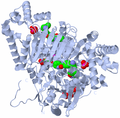 Image Biological Unit 1