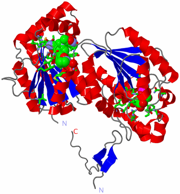 Image Asym. Unit - sites