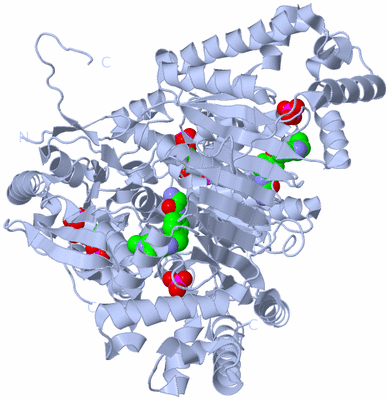 Image Biological Unit 1