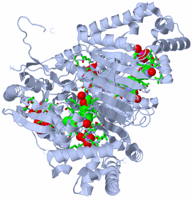 Image Biol. Unit 1 - sites