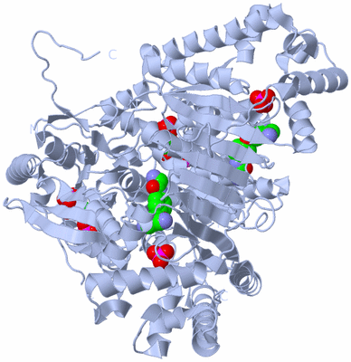 Image Biological Unit 1