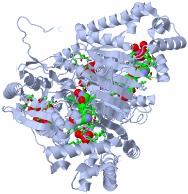 Image Biol. Unit 1 - sites