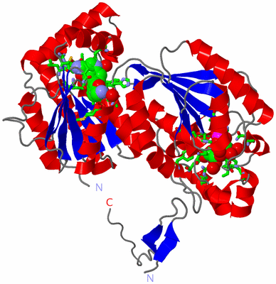 Image Asym. Unit - sites