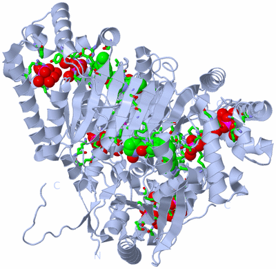 Image Biol. Unit 1 - sites