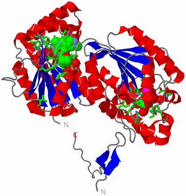 Image Asym. Unit - sites