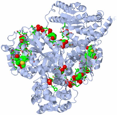 Image Biol. Unit 1 - sites